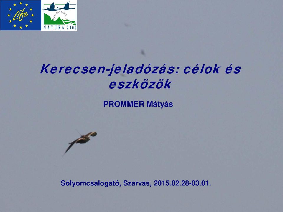 PROMMER Mátyás