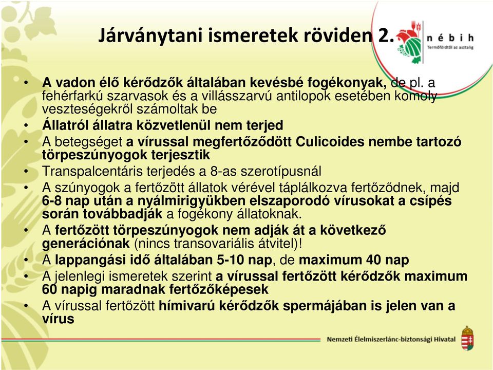 törpeszúnyogok terjesztik Transpalcentáris terjedés a 8-as szerotípusnál A szúnyogok a fertızött állatok vérével táplálkozva fertızıdnek, majd 6-8 nap után a nyálmirigyükben elszaporodó vírusokat a