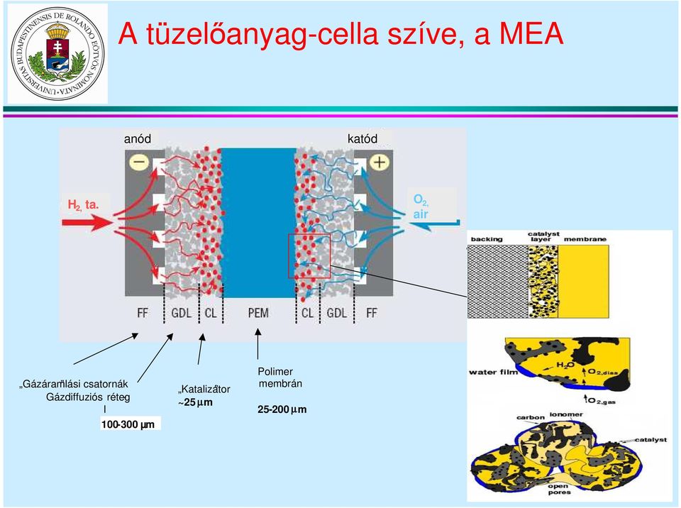 réteg 100-300 ~250 µm µm gáztranszport vízze teített