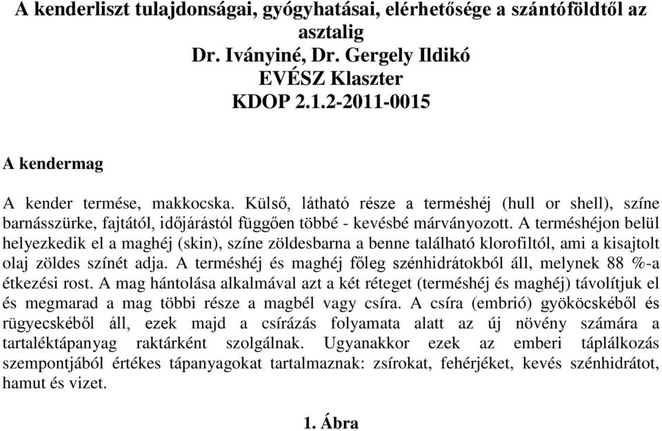 A terméshéjon belül helyezkedik el a maghéj (skin), színe zöldesbarna a benne található klorofiltól, ami a kisajtolt olaj zöldes színét adja.