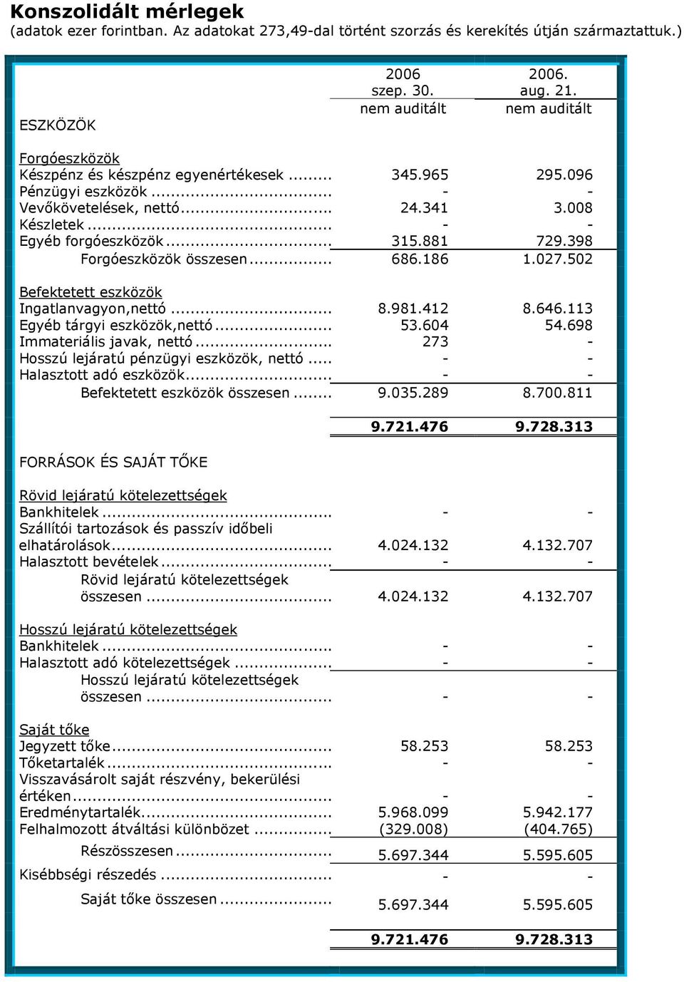 .. 315.881 729.398 Forgóeszközök összesen... 686.186 1.027.502 Befektetett eszközök Ingatlanvagyon,nettó... 8.981.412 8.646.113 Egyéb tárgyi eszközök,nettó... 53.604 54.698 Immateriális javak, nettó.