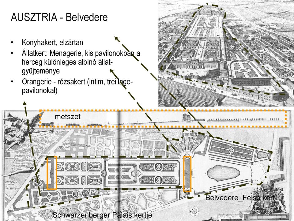 állatgyűjteménye Orangerie - rózsakert (intim,