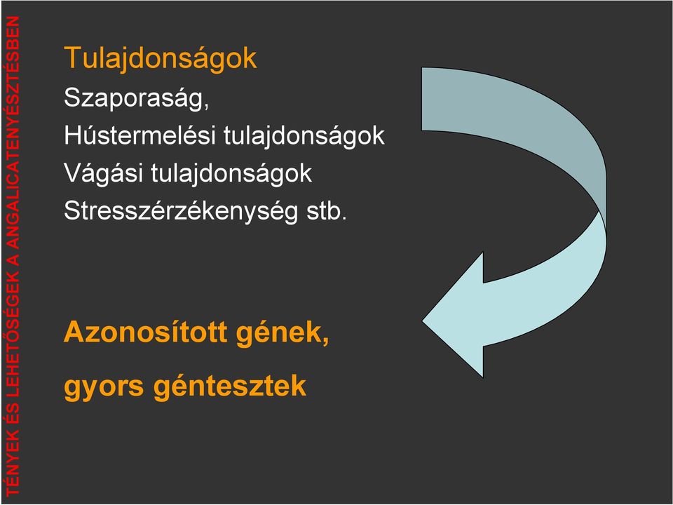 tulajdonságok Stresszérzékenység