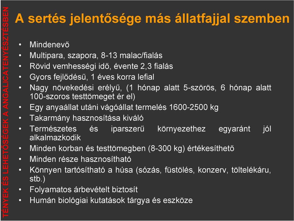 Takarmány hasznosítása kiváló Természetes és iparszerű környezethez egyaránt jól alkalmazkodik Minden korban és testtömegben (8-300 kg) értékesíthető Minden