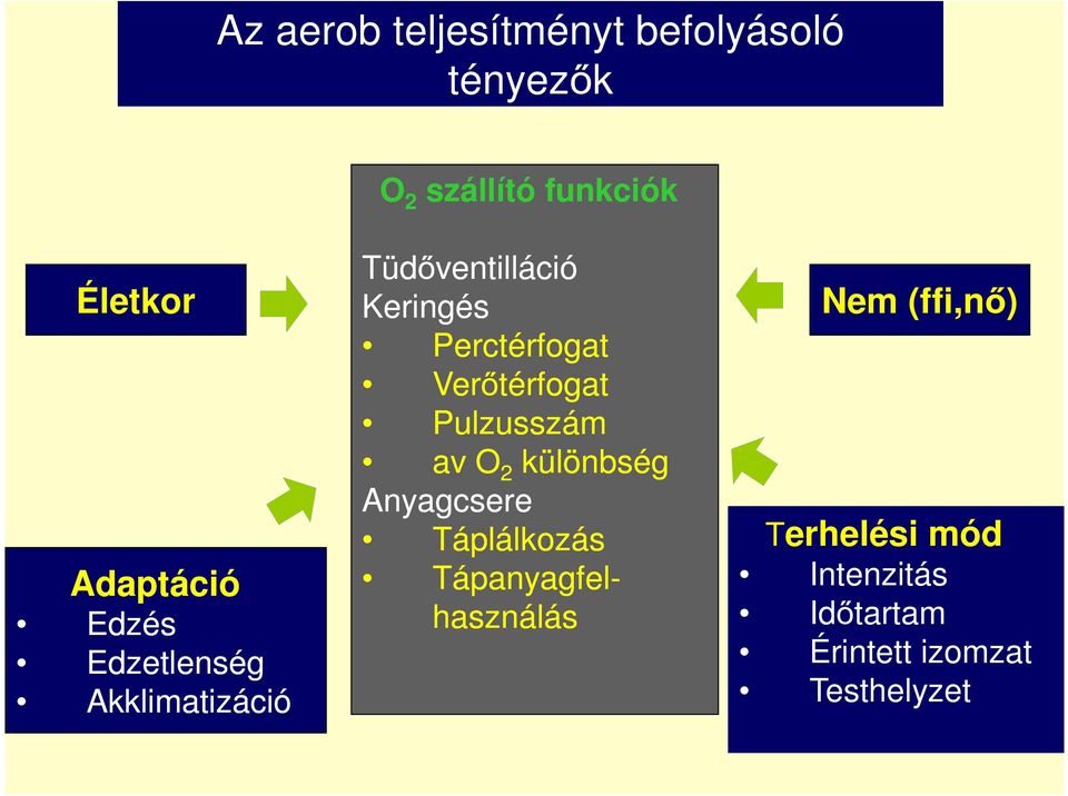 Perctérfogat Verőtérfogat Pulzusszám av O 2 különbség Anyagcsere Táplálkozás