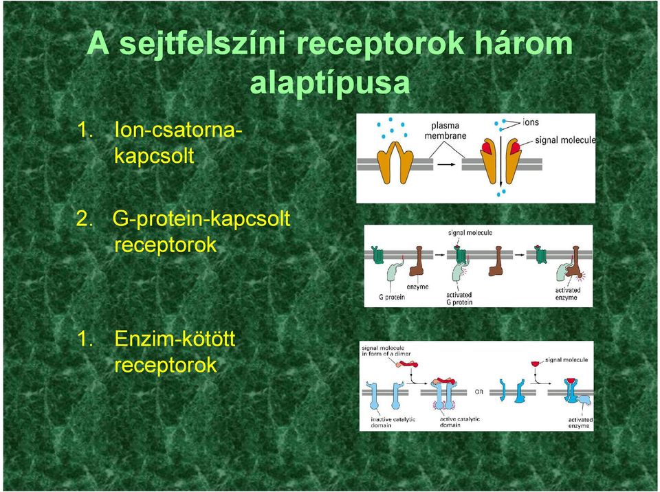 IonIon-csatorna csatorna-kapcsolt 2.