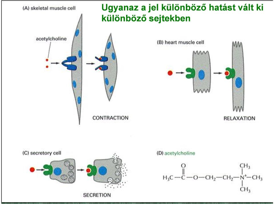 hatást vált ki