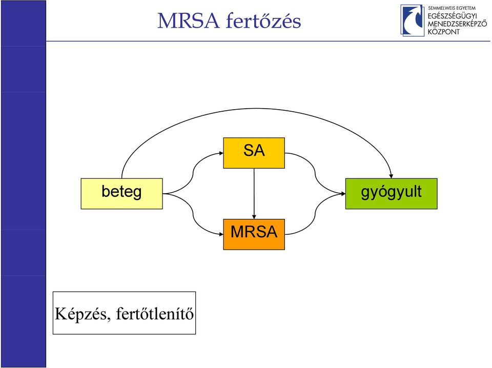 gyógyult MRSA