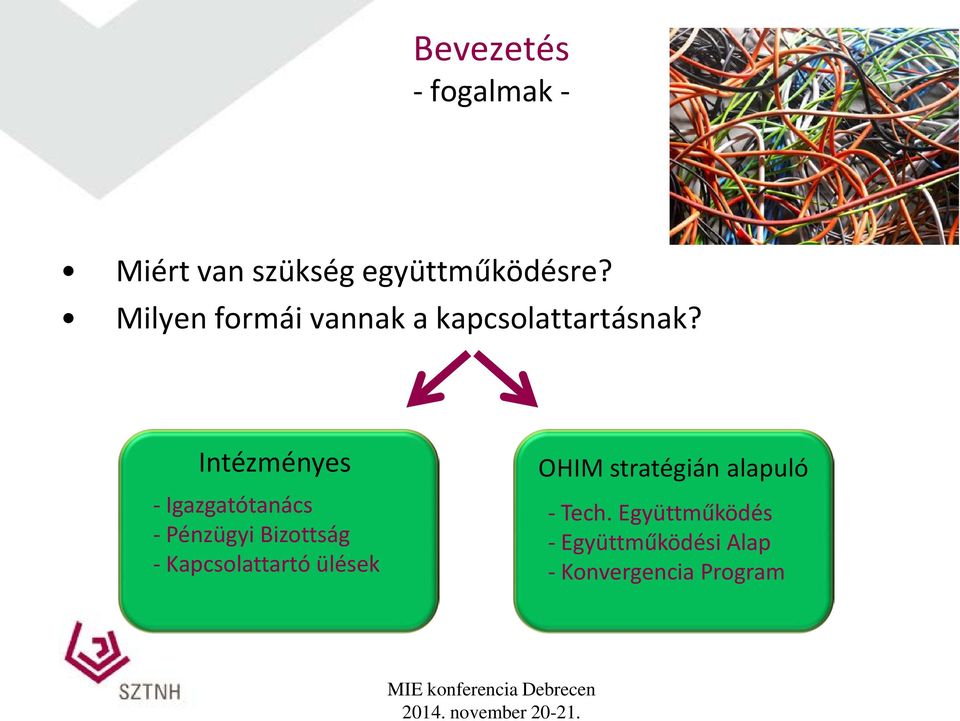 Intézményes - Igazgatótanács - Pénzügyi Bizottság - Kapcsolattartó