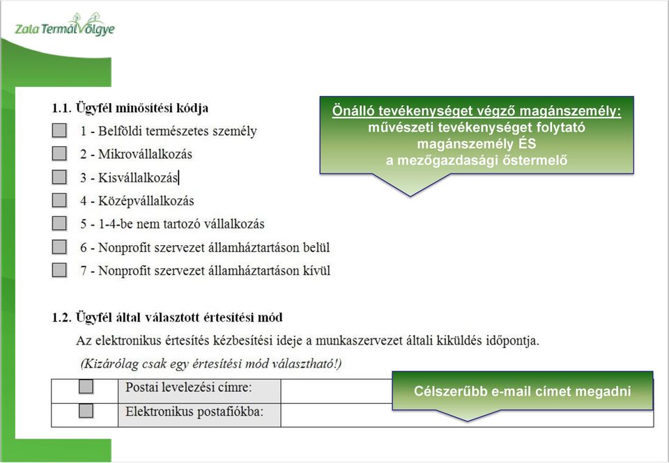 tevékenységet folytató magánszemély