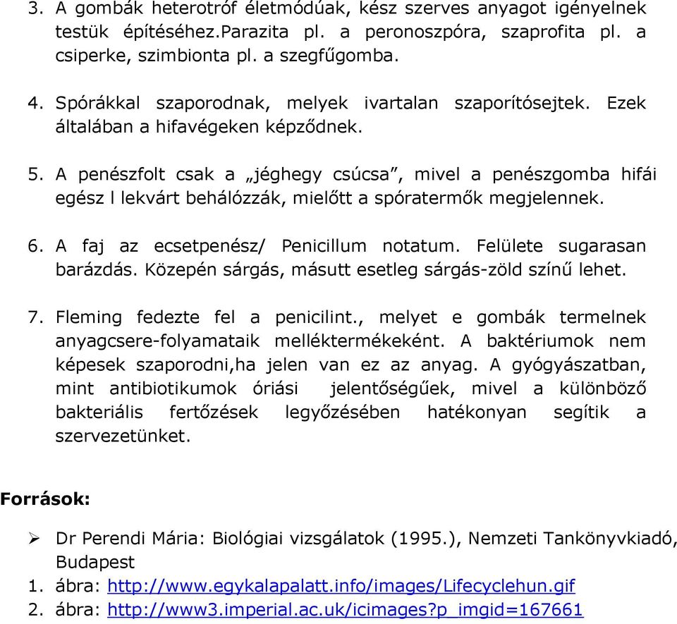 A penészfolt csak a jéghegy csúcsa, mivel a penészgomba hifái egész l lekvárt behálózzák, mielőtt a spóratermők megjelennek. 6. A faj az ecsetpenész/ Penicillum notatum. Felülete sugarasan barázdás.