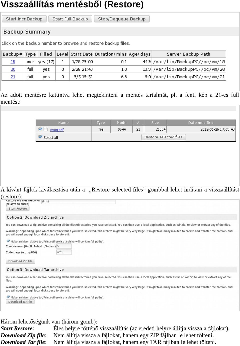 (restore): Három lehetőségünk van (három gomb): Start Restore: Éles helyre történő visszaállítás (az eredeti helyre állítja vissza a