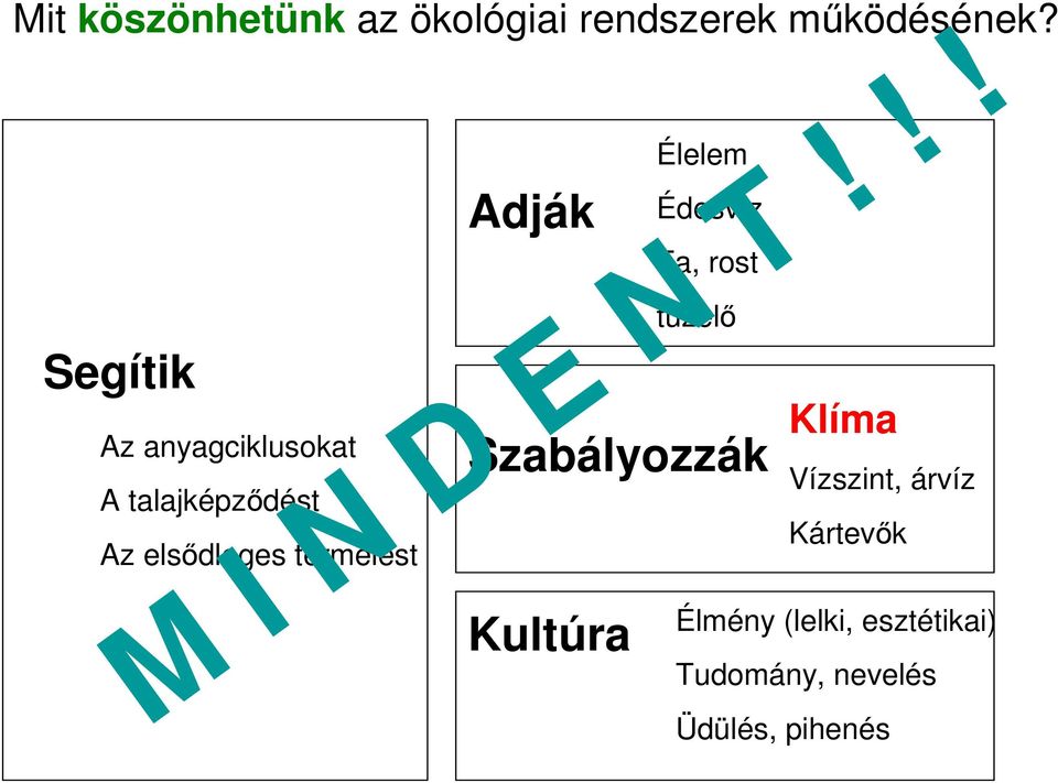 Adják Élelem Édesvíz Fa, rost tüzelı Szabályozzák Klíma Kultúra