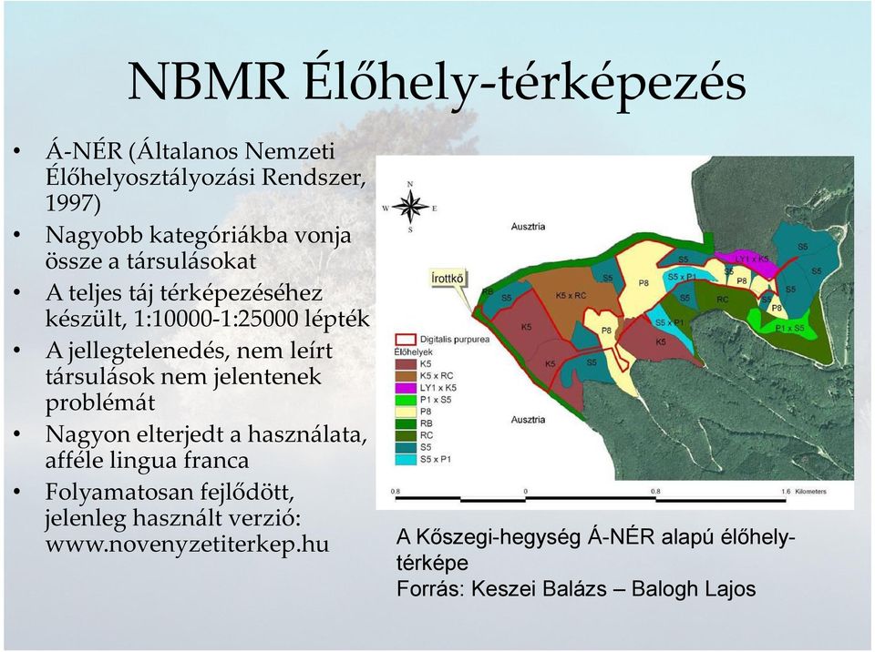 társulások nem jelentenek problémát Nagyon elterjedt a használata, afféle lingua franca Folyamatosan fejlődött,