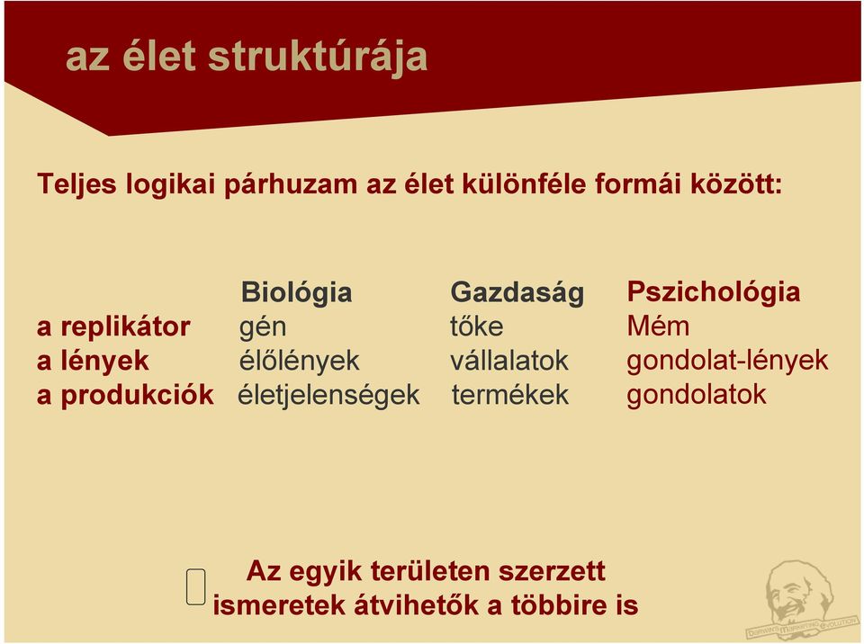 vállalatok a produkciók életjelenségek termékek Pszichológia Mém