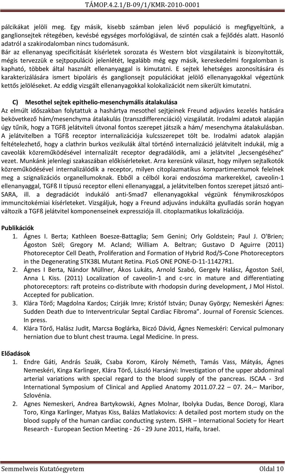 Bár az ellenanyag specificitását kísérletek sorozata és Western blot vizsgálataink is bizonyították, mégis tervezzük e sejtpopuláció jelenlétét, legalább még egy másik, kereskedelmi forgalomban is