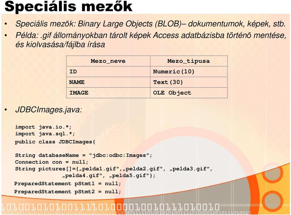 Numeric(10) Text(30) OLE Object JDBCImages.java: import java.io.*; import java.sql.