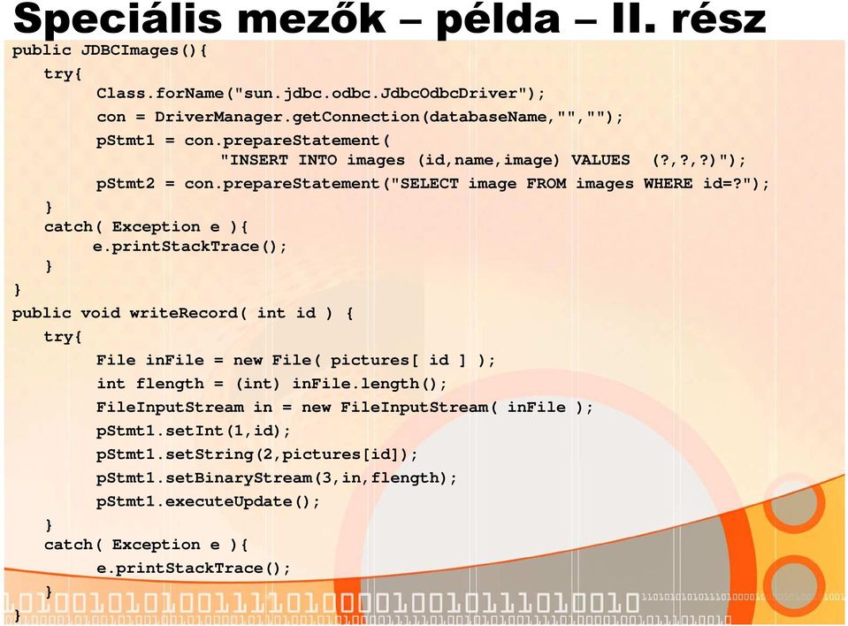 printstacktrace(); public void writerecord( int id ) { try{ File infile = new File( pictures[ id ] ); int flength = (int) infile.