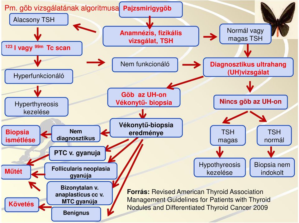 Vékonytű-biopsia eredménye TSH magas TSH normál PTC v. gyanuja Műtét Follicularis neoplasia gyanúja Hypothyreosis kezelése Biopsia nem indokolt Követés Bizonytalan v.