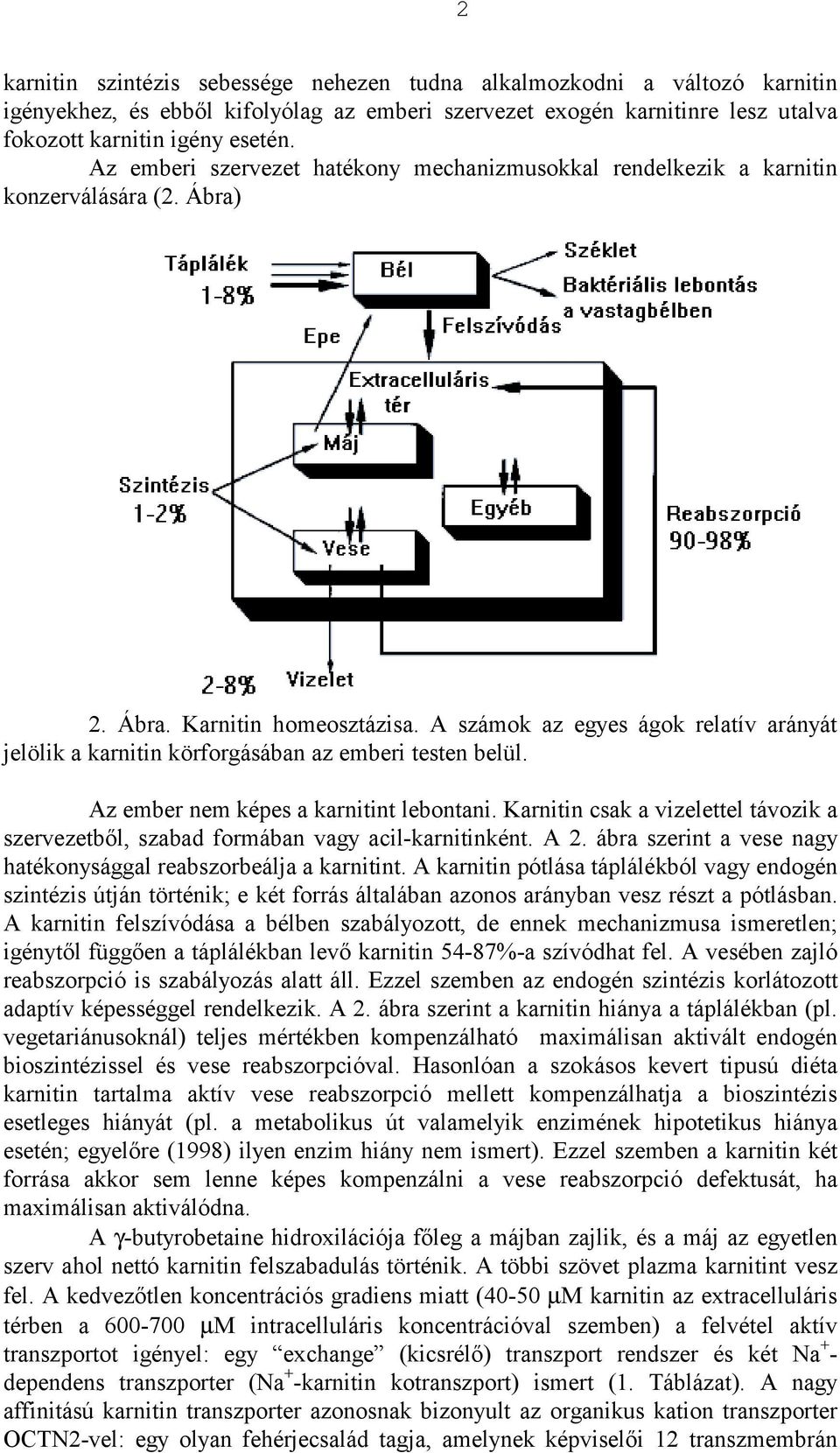 A számok az egyes ágok relatív arányát jelölik a karnitin körforgásában az emberi testen belül. Az ember nem képes a karnitint lebontani.