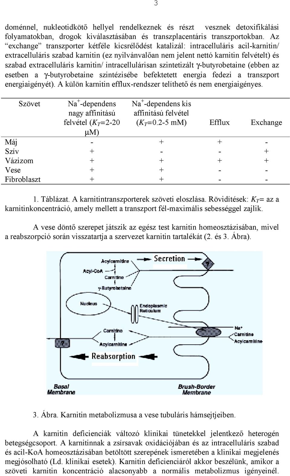 extracelluláris karnitin/ intracellulárisan szintetizált γ-butyrobetaine (ebben az esetben a γ-butyrobetaine szintézisébe befektetett energia fedezi a transzport energiaigényét).