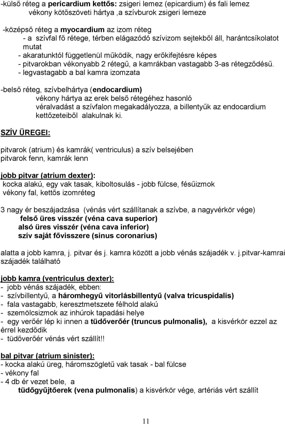 - legvastagabb a bal kamra izomzata -belső réteg, szívbelhártya (endocardium) vékony hártya az erek belső rétegéhez hasonló véralvadást a szívfalon megakadályozza, a billentyűk az endocardium