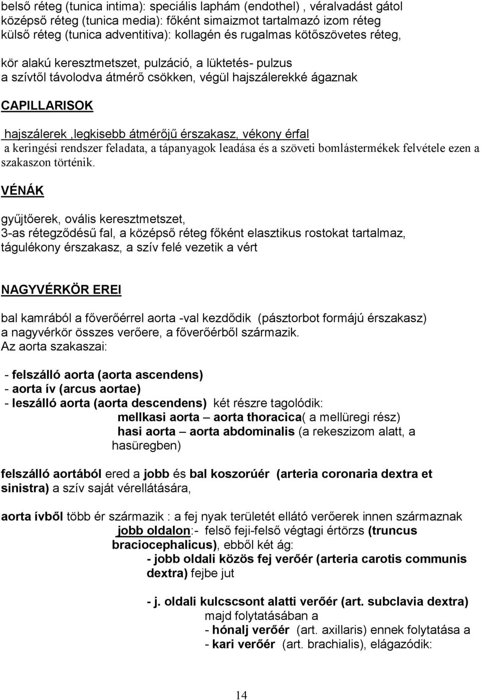 vékony érfal a keringési rendszer feladata, a tápanyagok leadása és a szöveti bomlástermékek felvétele ezen a szakaszon történik.