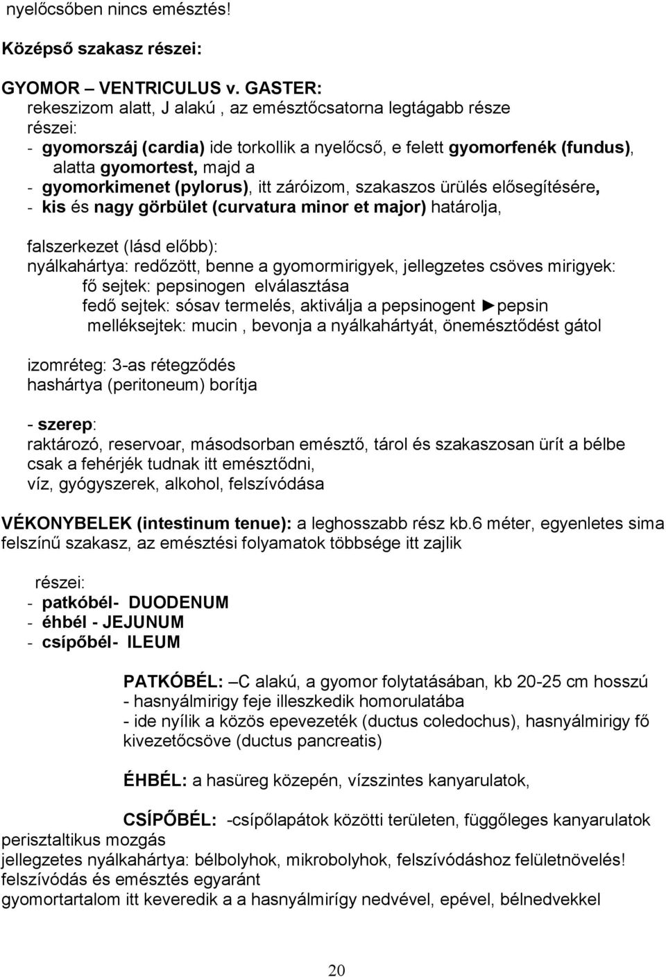 (pylorus), itt záróizom, szakaszos ürülés elősegítésére, - kis és nagy görbület (curvatura minor et major) határolja, falszerkezet (lásd előbb): nyálkahártya: redőzött, benne a gyomormirigyek,