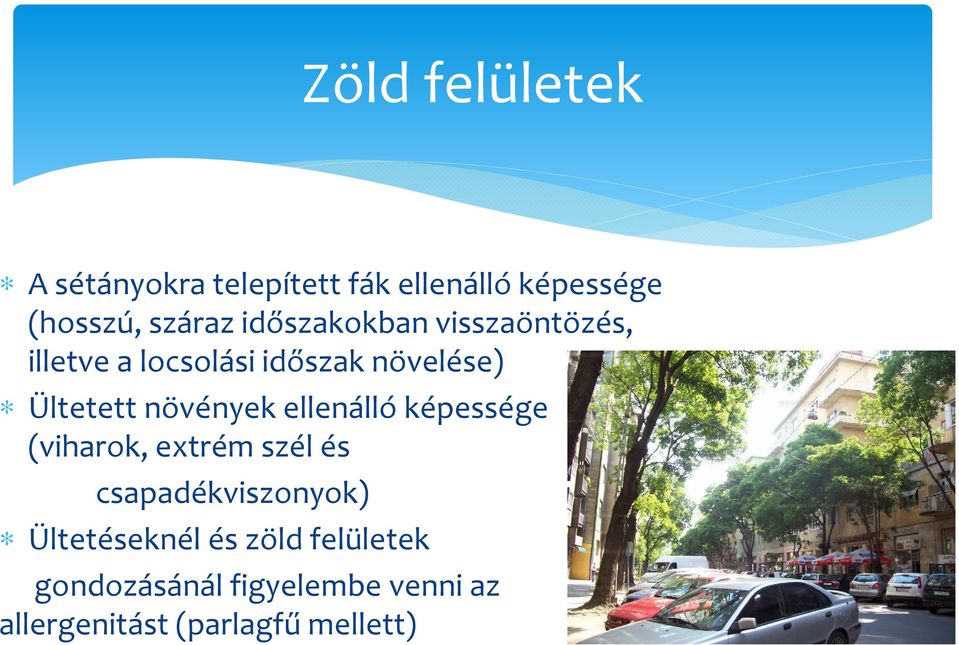 növények ellenálló képessége (viharok, extrém szél és csapadékviszonyok)