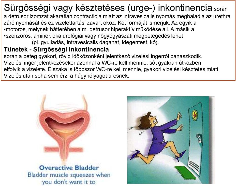 gyulladás, intravesicalis daganat, idegentest, kô). Tünetek - Sürgôsségi inkontinencia során a beteg gyakori, rövid idôközönként jelentkezô vizelési ingerrôl panaszkodik.