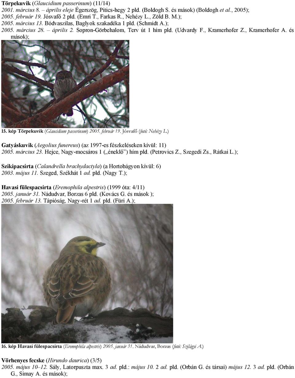 , Kramerhofer Z., Kramerhofer A. és mások); 15. kép Törpekuvik (Glaucidium passerinum) 2005. február 19. Jósvafő (fotó: Nehézy L.