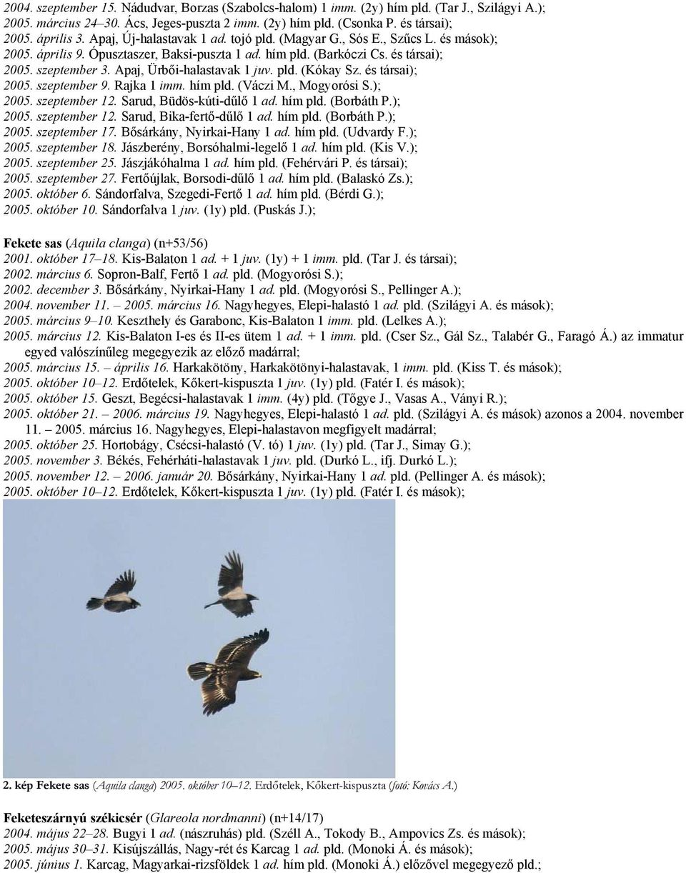 Apaj, Ürbői-halastavak 1 juv. pld. (Kókay Sz. és társai); 2005. szeptember 9. Rajka 1 imm. hím pld. (Váczi M., Mogyorósi S.); 2005. szeptember 12. Sarud, Büdös-kúti-dűlő 1 ad. hím pld. (Borbáth P.