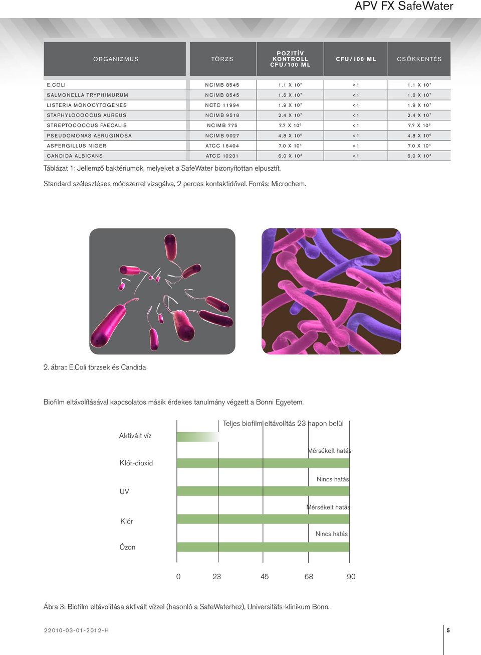 7 X 10 6 PSEUDOMONAS AERUGINOSA NCIMB 9027 4.8 X 10 6 <1 4.8 X 10 6 ASPERGILLUS NIGER ATCC 16404 7.0 X 10 4 <1 7.0 X 10 4 CANDIDA ALBICANS ATCC 10231 6.0 X 10 4 <1 6.