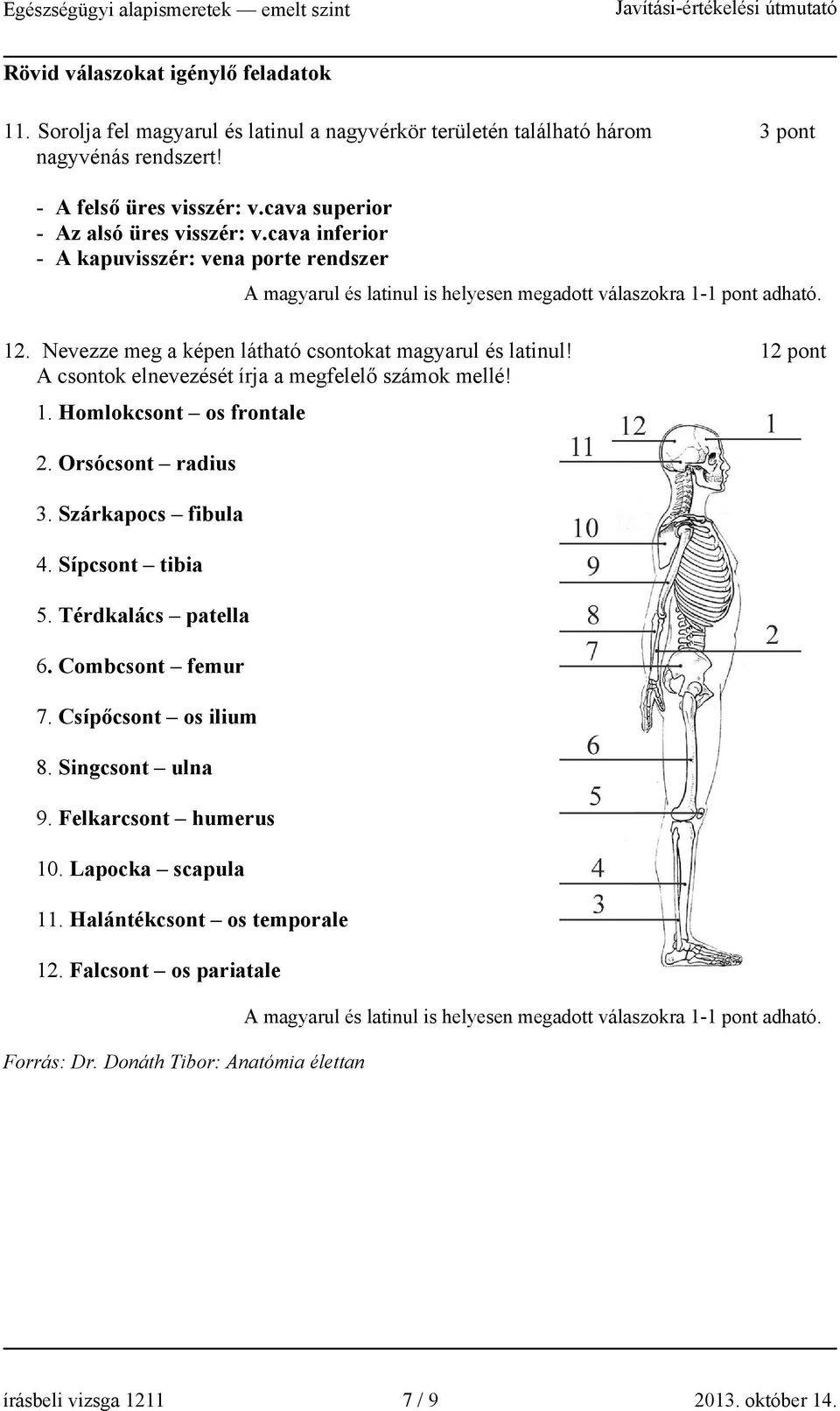 Nevezze meg a képen látható csontokat magyarul és latinul! 12 pont A csontok elnevezését írja a megfelelő számok mellé! 1. omlokcsont os frontale 2. Orsócsont radius 3. Szárkapocs fibula 4.