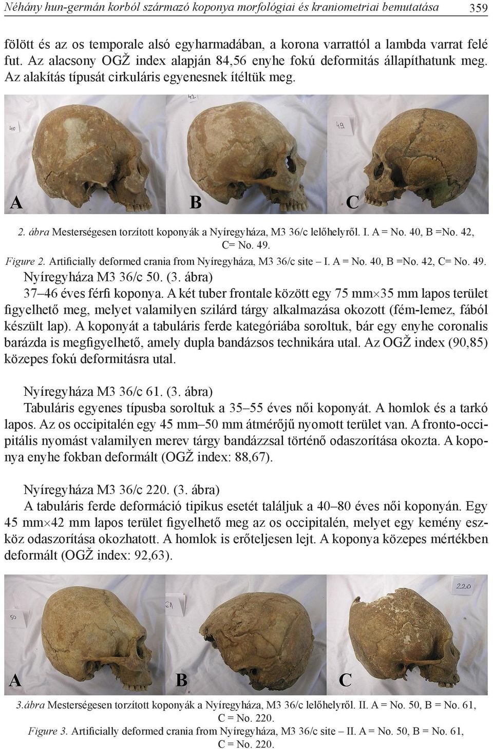 ábra Mesterségesen torzított koponyák a Nyíregyháza, M3 36/c lelőhelyről. I. A = No. 40, B =No. 42, C= No. 49. Figure 2. Artificially deformed crania from Nyíregyháza, M3 36/c site I. A = No. 40, B =No. 42, C= No. 49. Nyíregyháza M3 36/c 50.