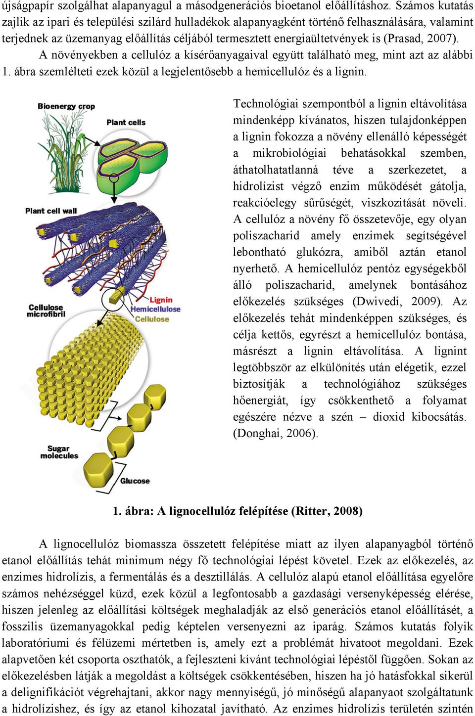 2007). A növényekben a cellulóz a kísérőanyagaival együtt található meg, mint azt az alábbi 1. ábra szemlélteti ezek közül a legjelentősebb a hemicellulóz és a lignin.