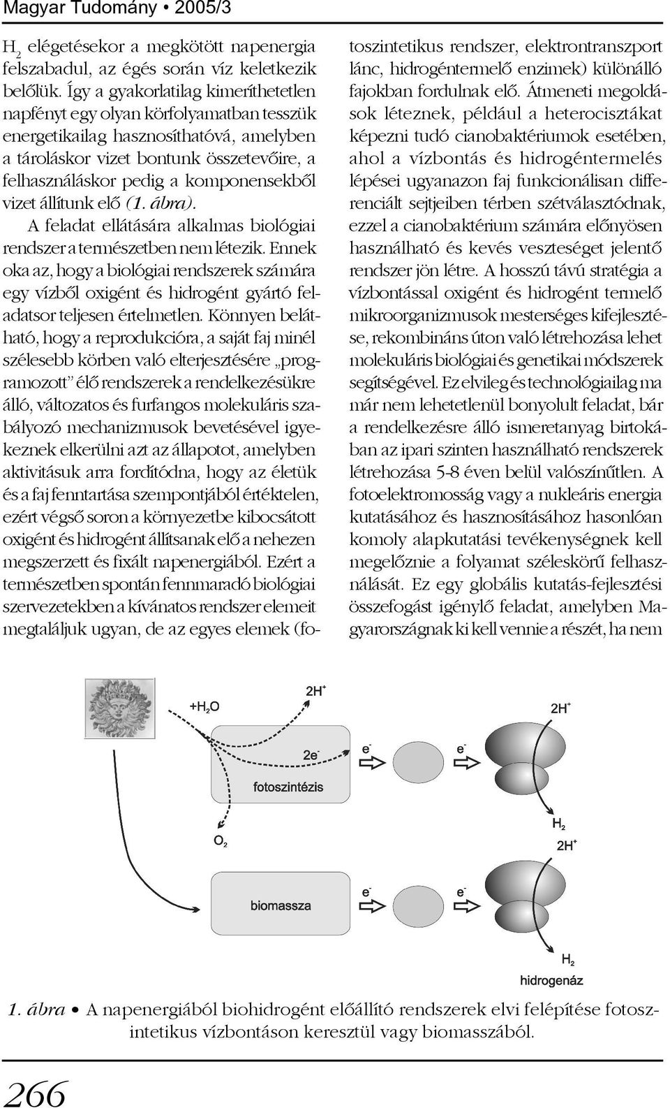 komponensekbõl vizet állítunk elõ (1. ábra). A feladat ellátására alkalmas biológiai rendszer a természetben nem létezik.