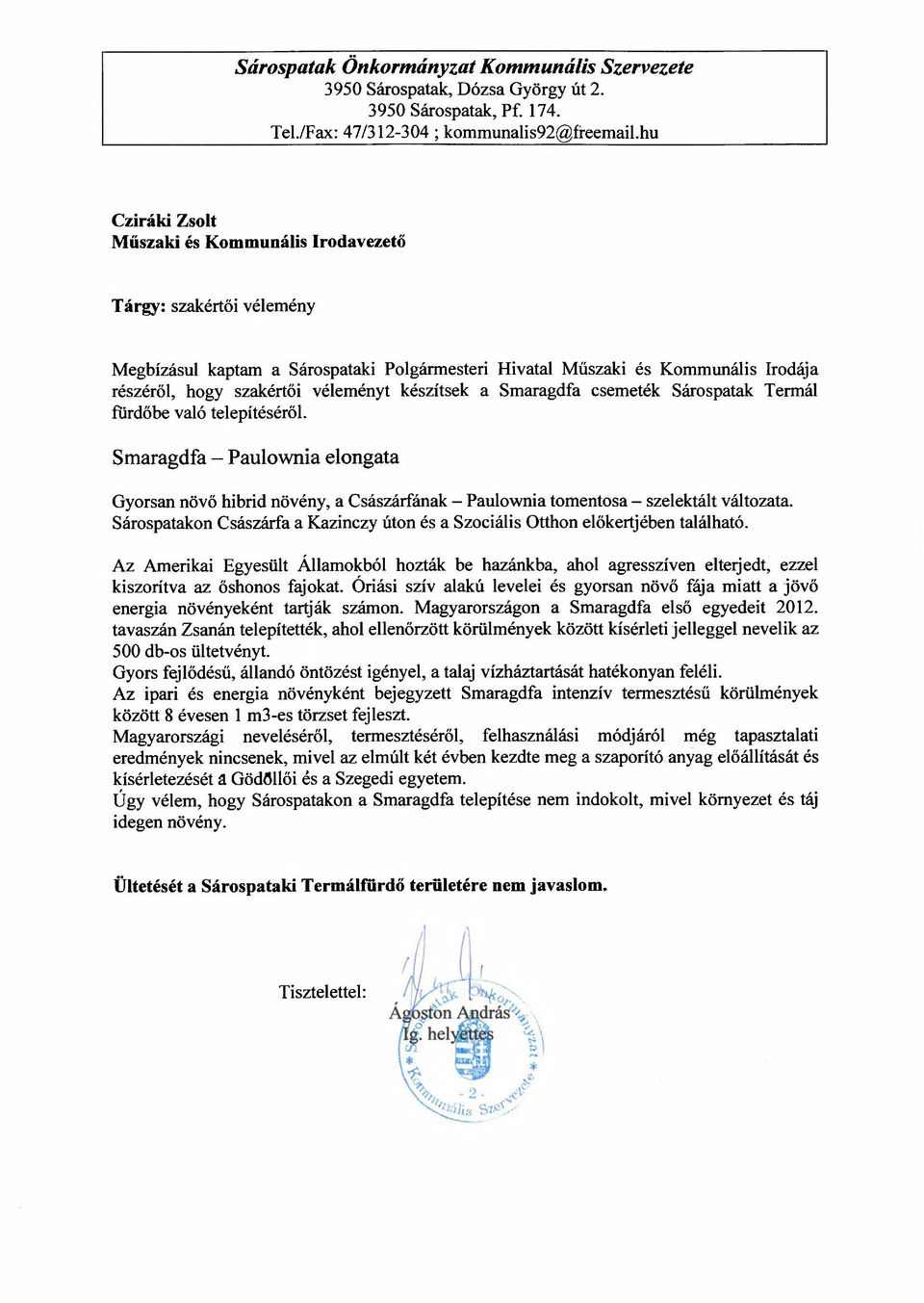 készítsek a Smaragdfa csemeték Sárospatak Termál fürdőbe való telepítéséről. Smaragdfa - Paulownia elongata Gyorsan növő hibrid növény, a Császárfának - Paulownia tomentosa - szelektált változata.