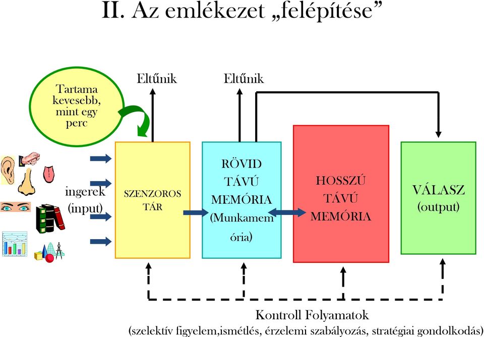 HOSSZÚ TÁVÚ MEMÓRIA VÁLASZ (output) ória) Kontroll Folyamatok