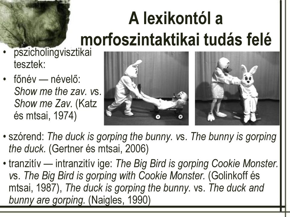 (Gertner és mtsai, 2006) tranzitív intranzitív ige: The Big Bird is gorping Cookie Monster. vs.