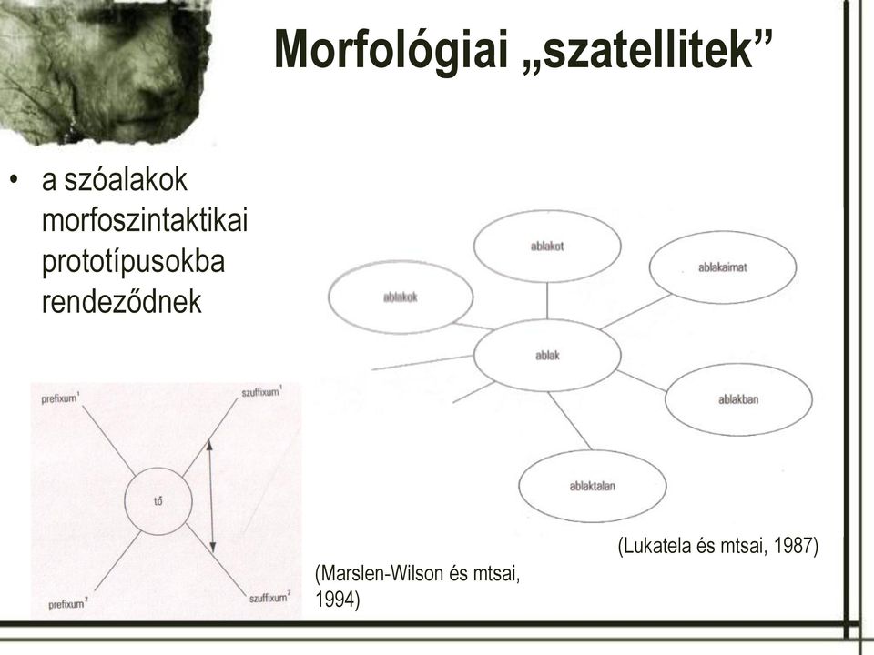 prototípusokba rendeződnek