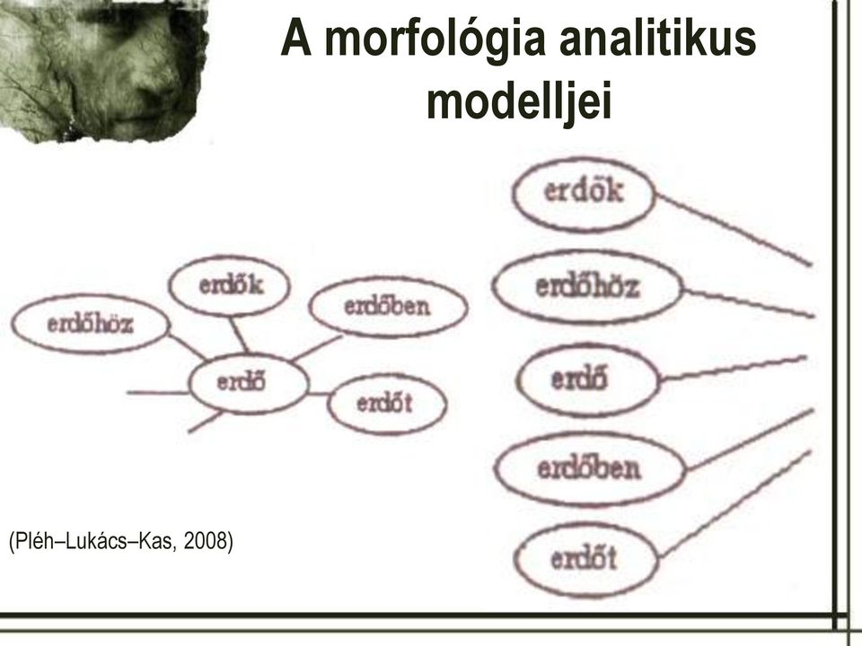 modelljei