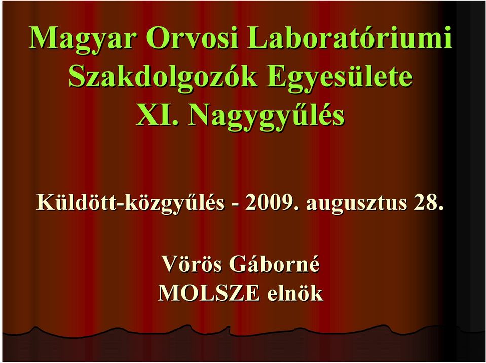 Nagygyűlés Küldött-közgyűlés - 2009.