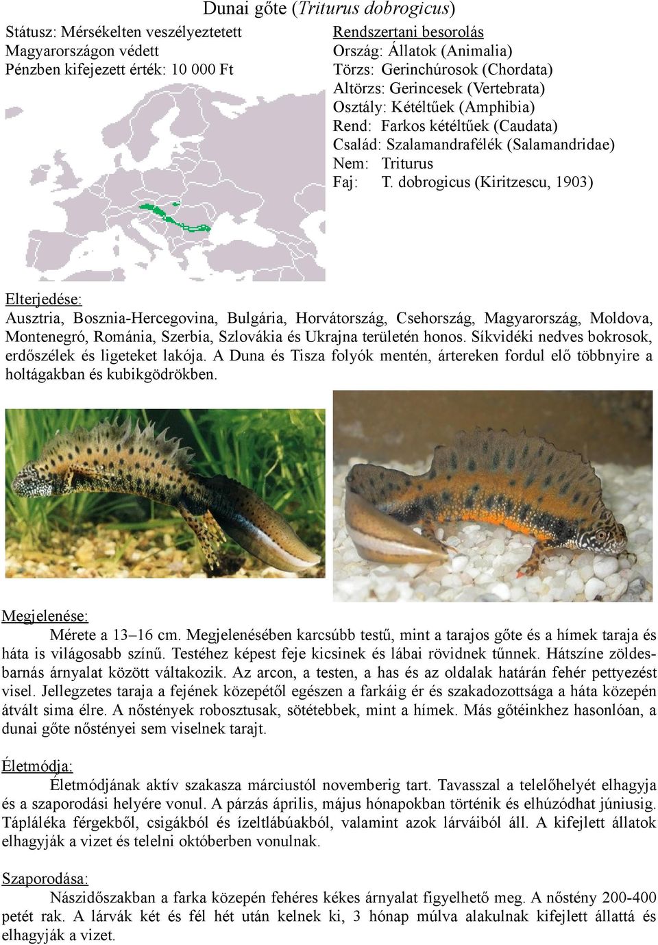 dobrogicus (Kiritzescu, 1903) Elterjedése: Ausztria, Bosznia-Hercegovina, Bulgária, Horvátország, Csehország, Magyarország, Moldova, Montenegró, Románia, Szerbia, Szlovákia és Ukrajna területén honos.