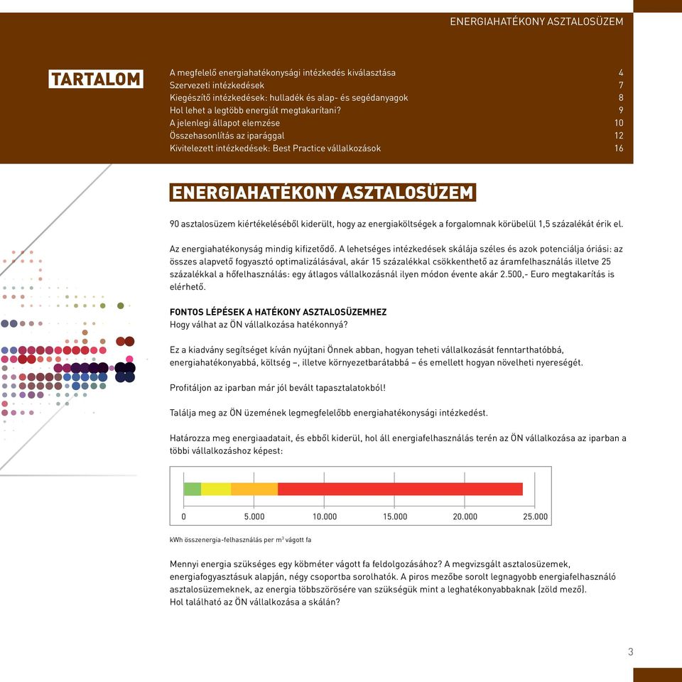 9 A jelenlegi állapot elemzése 10 Összehasonlítás az iparággal 12 Kivitelezett intézkedések: Best Practice vállalkozások 16 ENERGIAHATÉKONY ASZTALOSÜZEM 90 asztalosüzem kiértékeléséből kiderült, hogy