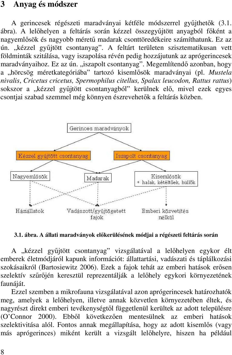 A feltárt területen szisztematikusan vett földminták szitálása, vagy iszapolása révén pedig hozzájutunk az aprógerincesek maradványaihoz. Ez az ún. iszapolt csontanyag.