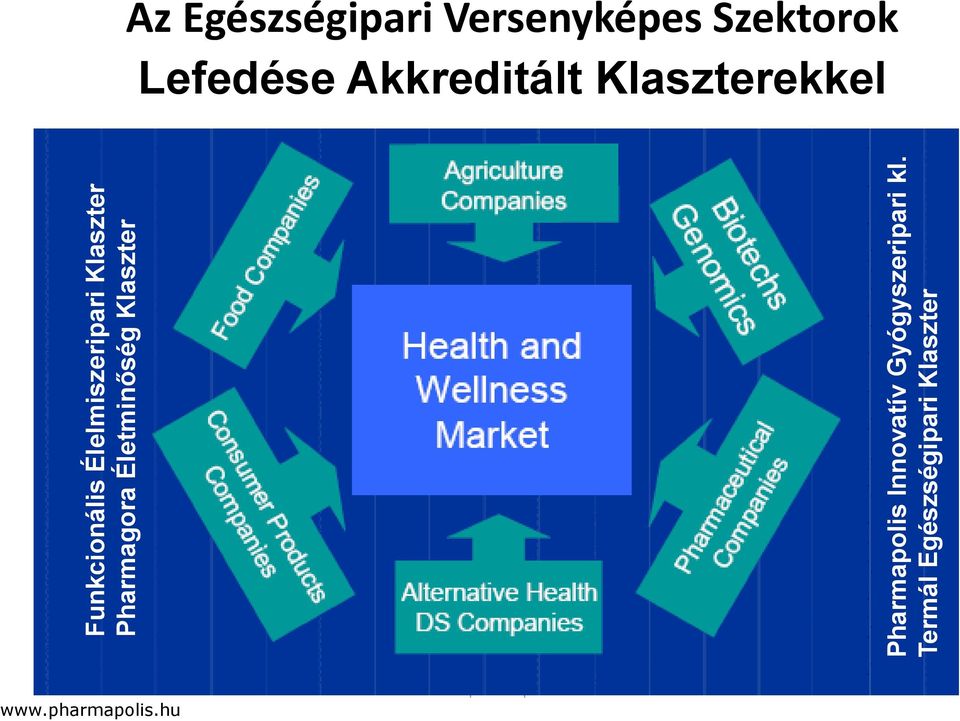 Termál Egészségipari Klaszter Az Egészségipari Versenyképes