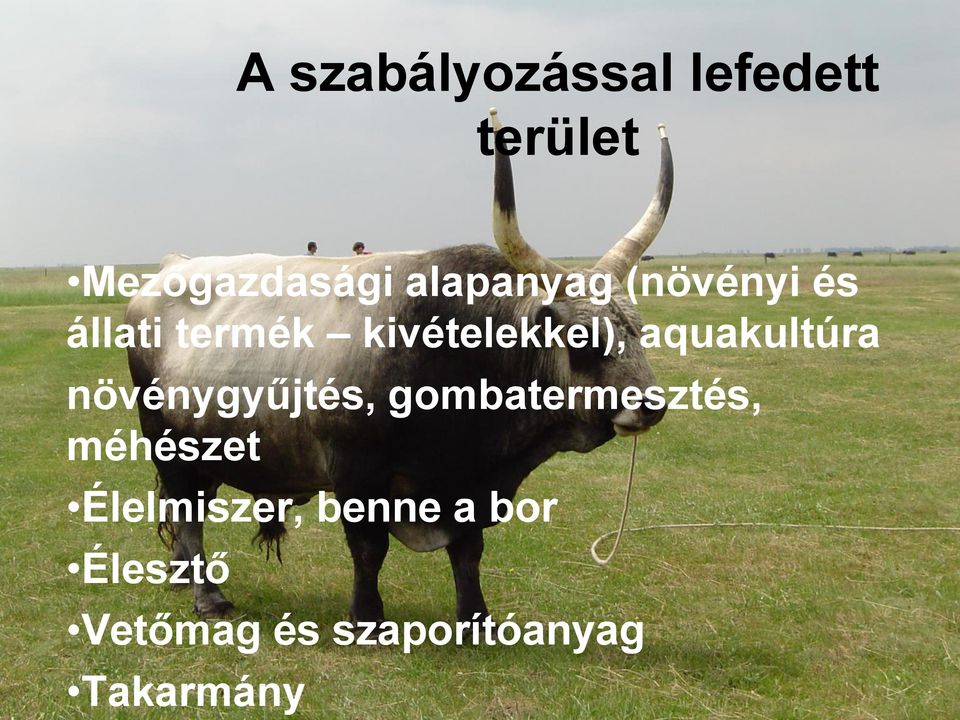 aquakultúra növénygyűjtés, gombatermesztés, méhészet