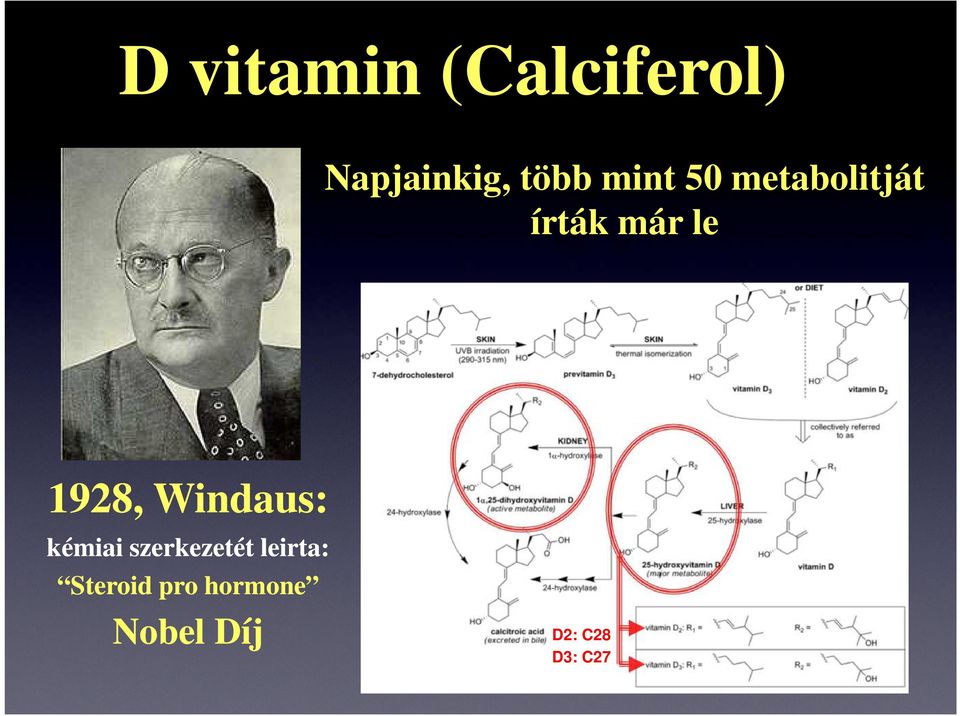 Windaus: kémiai szerkezetét leirta: