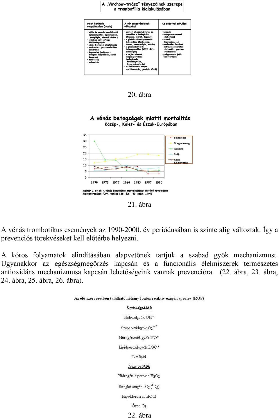 A kóros folyamatok elindításában alapvetőnek tartjuk a szabad gyök mechanizmust.